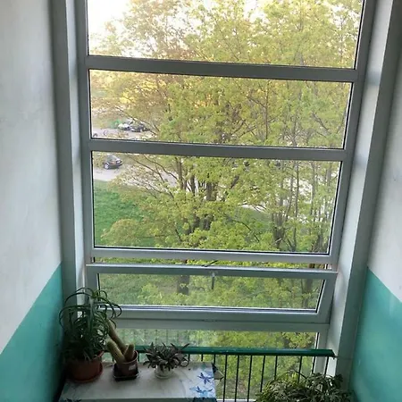 Apartman Apartments *